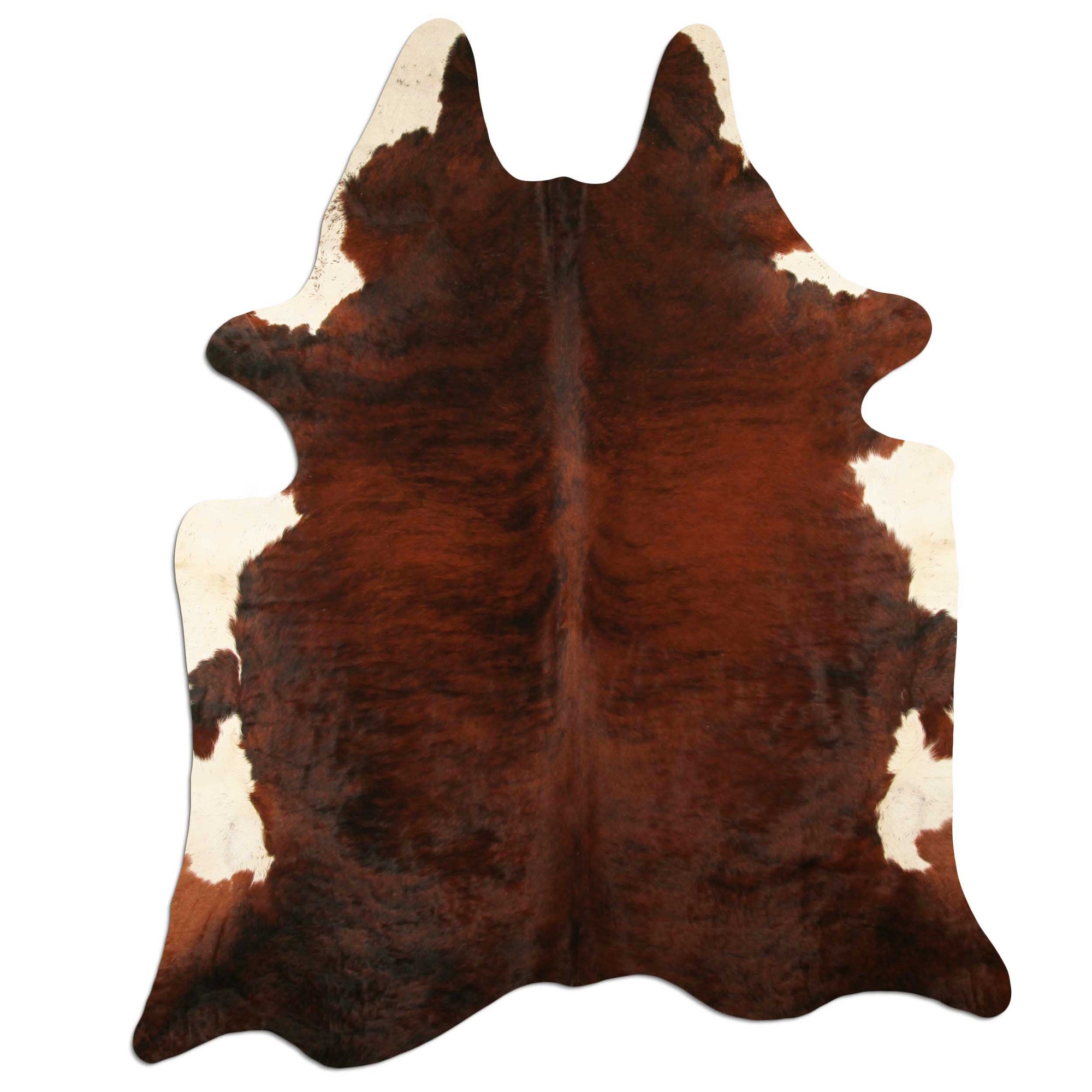 Livorio cowhide - exotic white belly