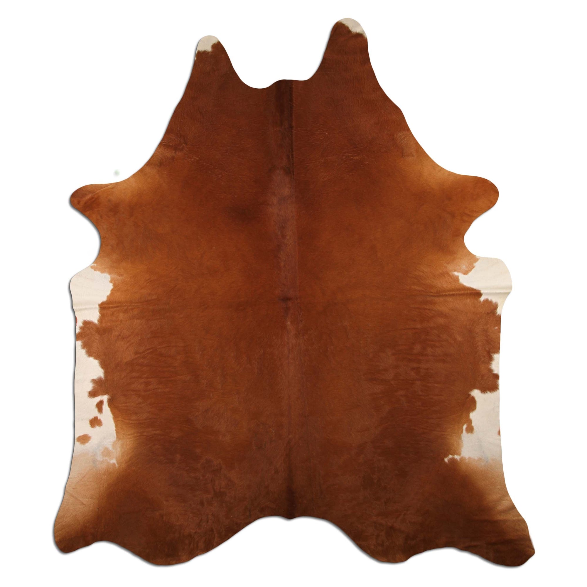 Livorio cowhide - brown