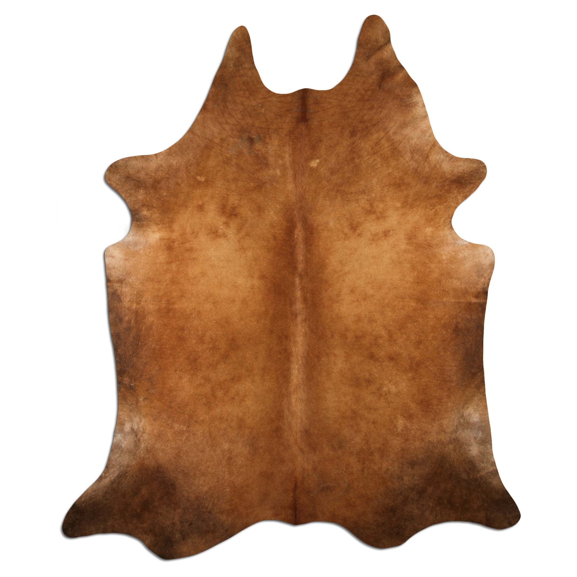 Livorio cowhide - brown