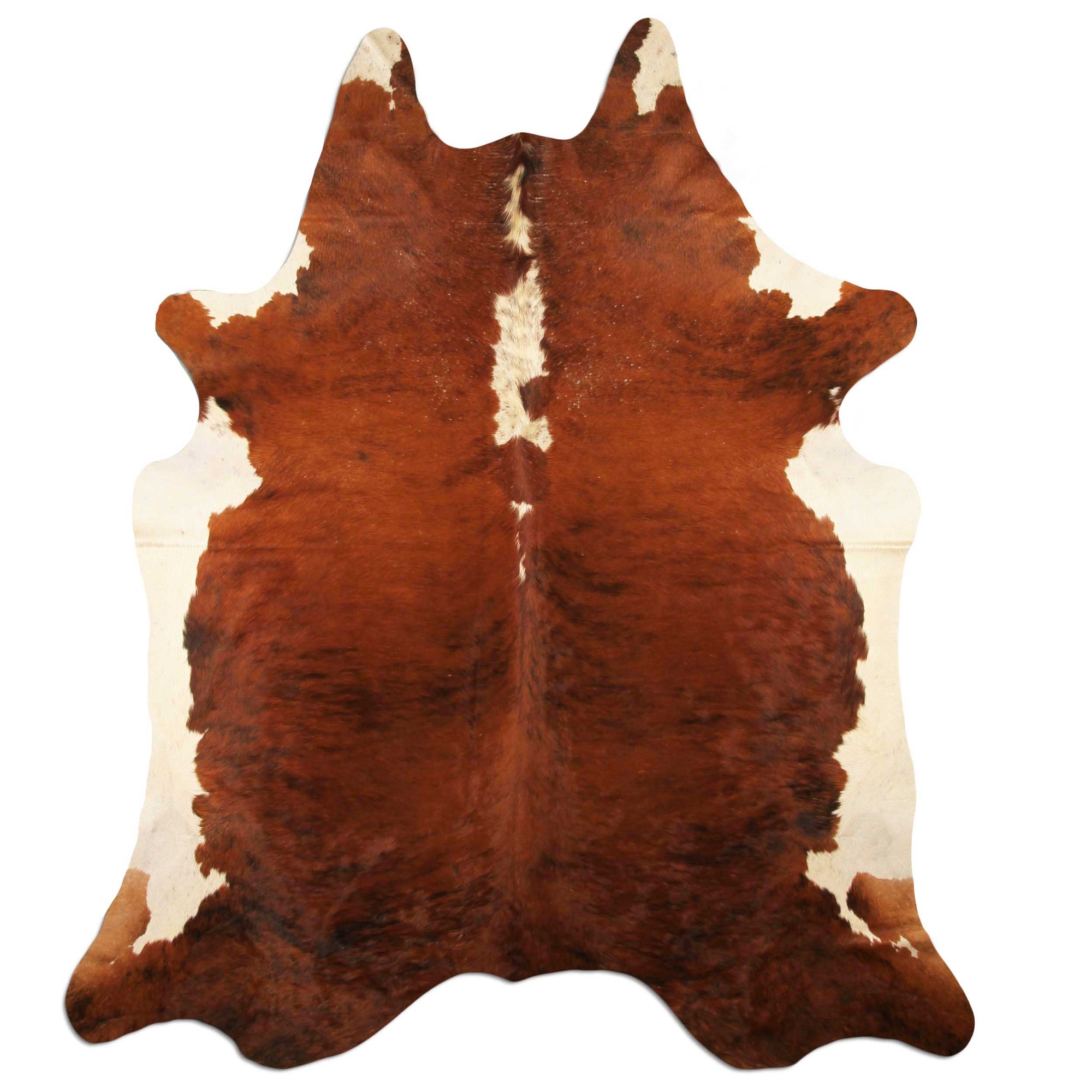 Livorio cowhide - exotic white belly backbone