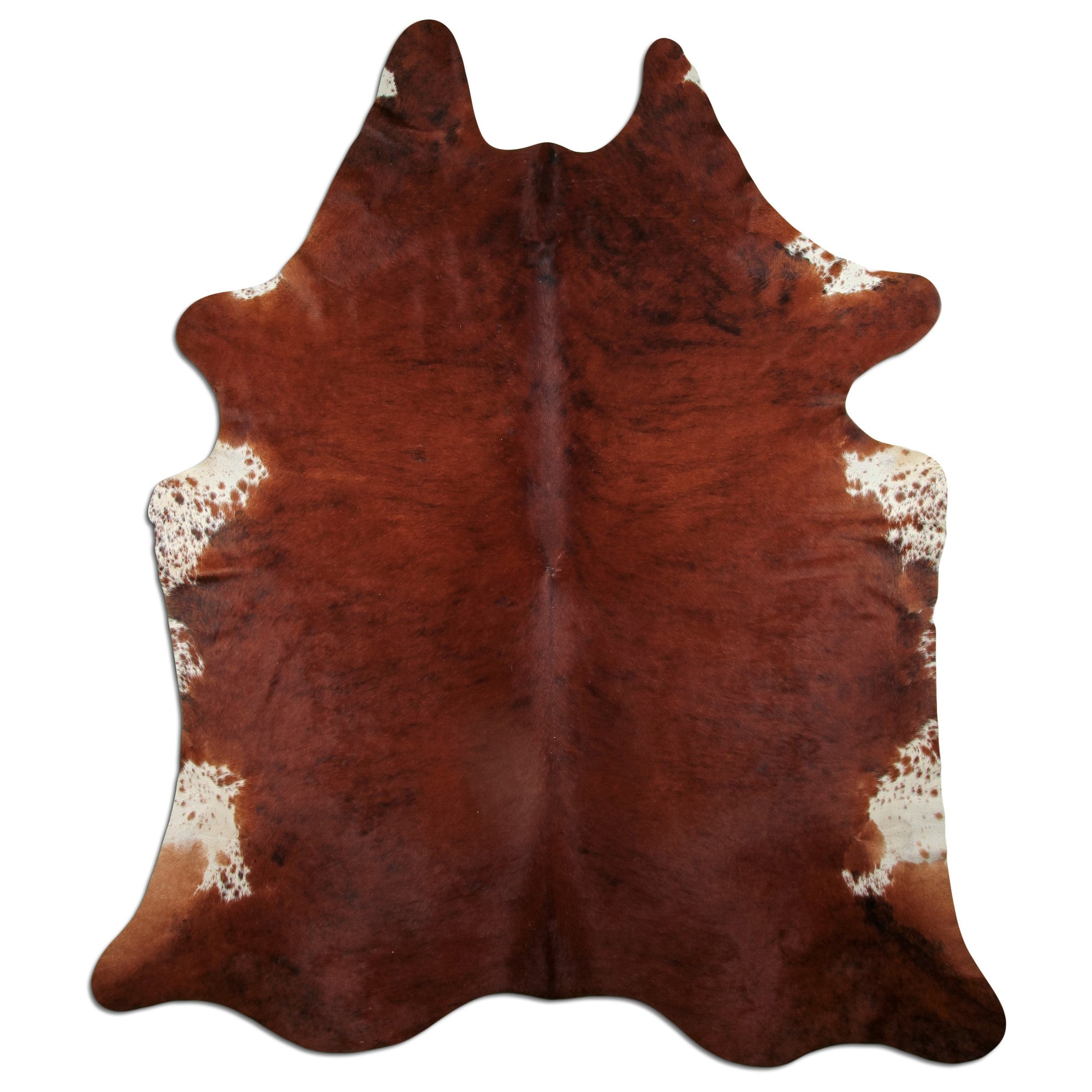 Livorio cowhide - exotic white belly