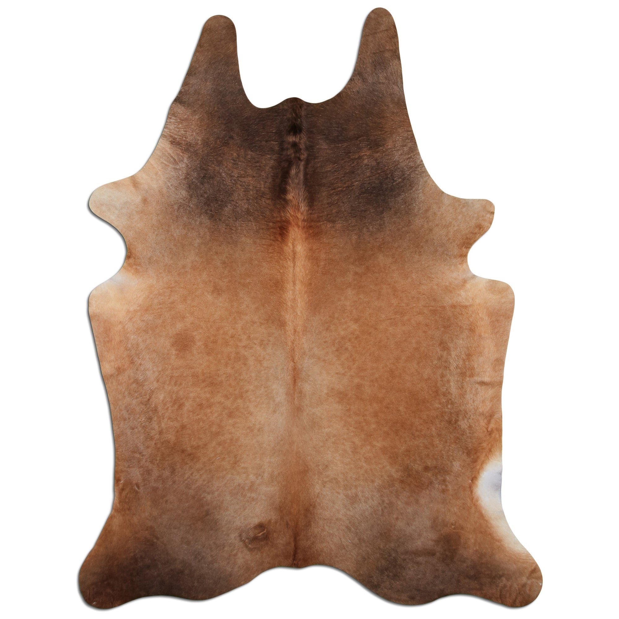 Livorio cowhide - dark champagne