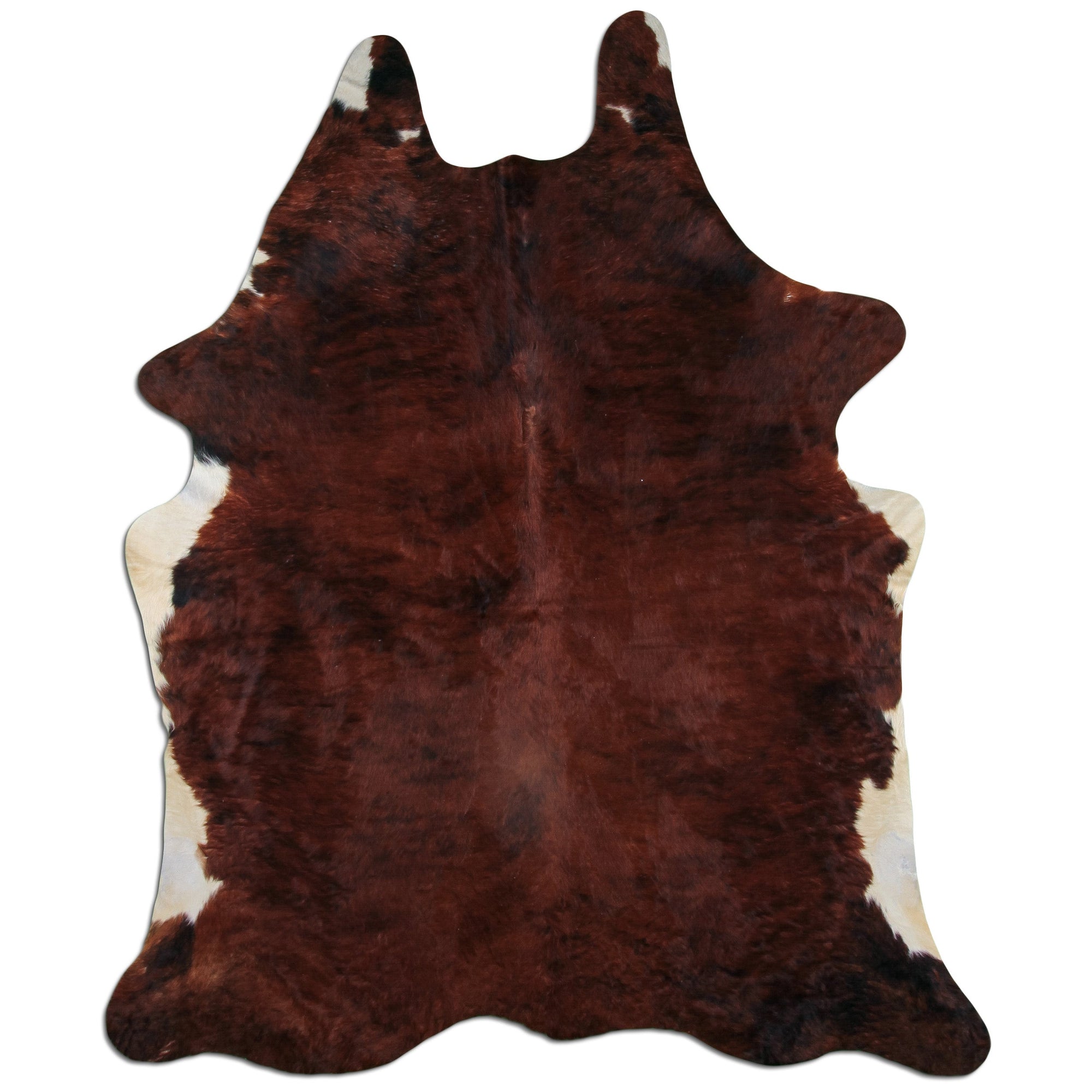 Livorio cowhide - exotic white belly