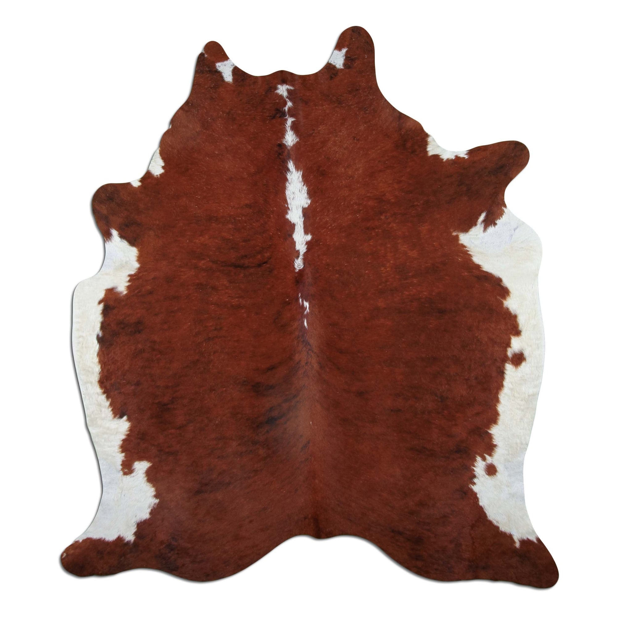 Livorio cowhide - exotic white belly backbone